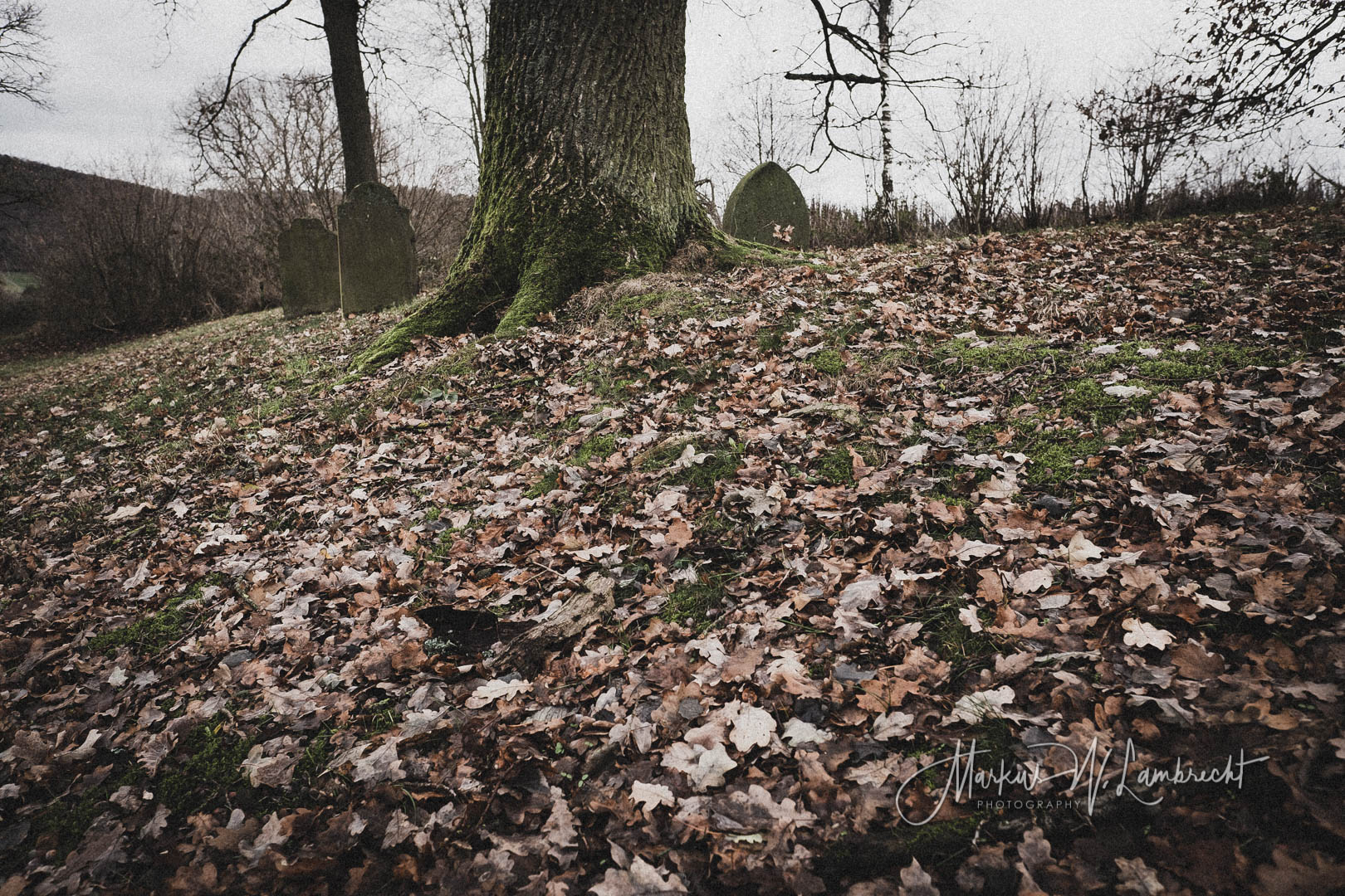 Mackensen (Dassel), Jüdischer Friedhof